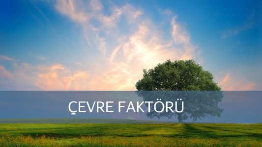 çevre faktörü